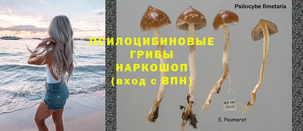 МДПВ Бугульма